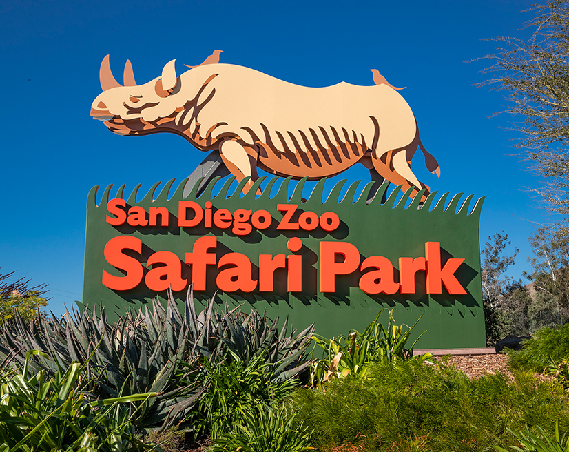san diego safari park plan your day